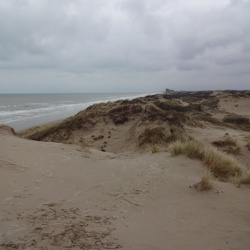 Dunkerque 02/2014