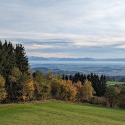 Linz 2023