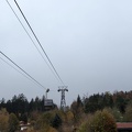 PXL 20241023 093113366