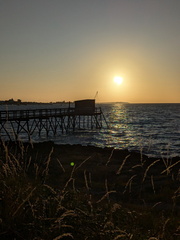 PXL 20250715 192153286