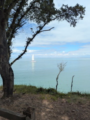 PXL 20250722 115824148