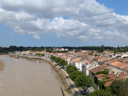 PXL 20250724 094216308