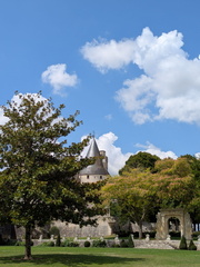 PXL 20250724 105740522