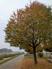 PXL 20251022 124734445