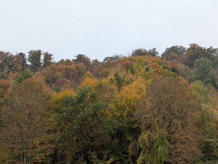 PXL 20251022 132015920