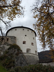 PXL 20251023 092431861