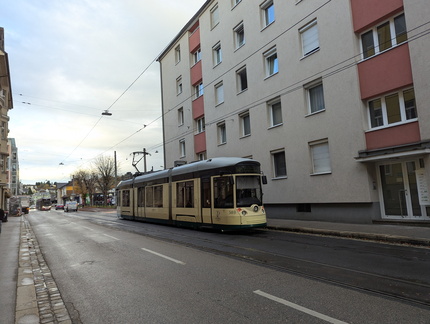 PXL 20251024 061906616