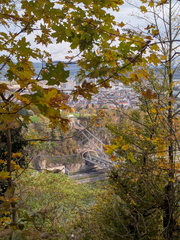 PXL 20251026 093005468