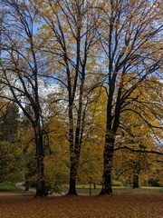 PXL 20251026 094114838