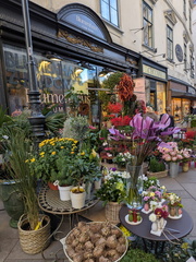 PXL 20251029 135011537