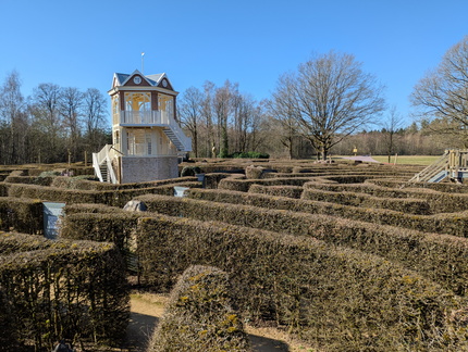 PXL 20260303 104905074