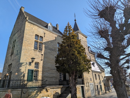 PXL 20260304 095244411