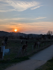 PXL 20260304 165847587