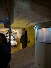 PXL 20260305 101347413