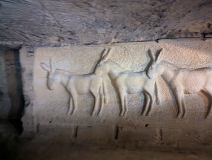 PXL 20260305 102537489