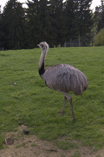 DSC_6722.jpg